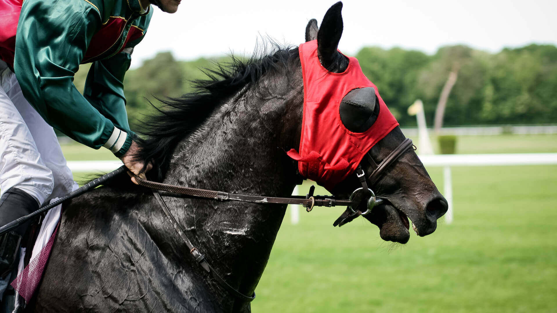 Jockey auf Pferd